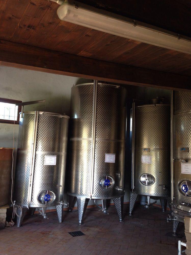 Azienda Agricola Sinisi Cerveteri Kültér fotó