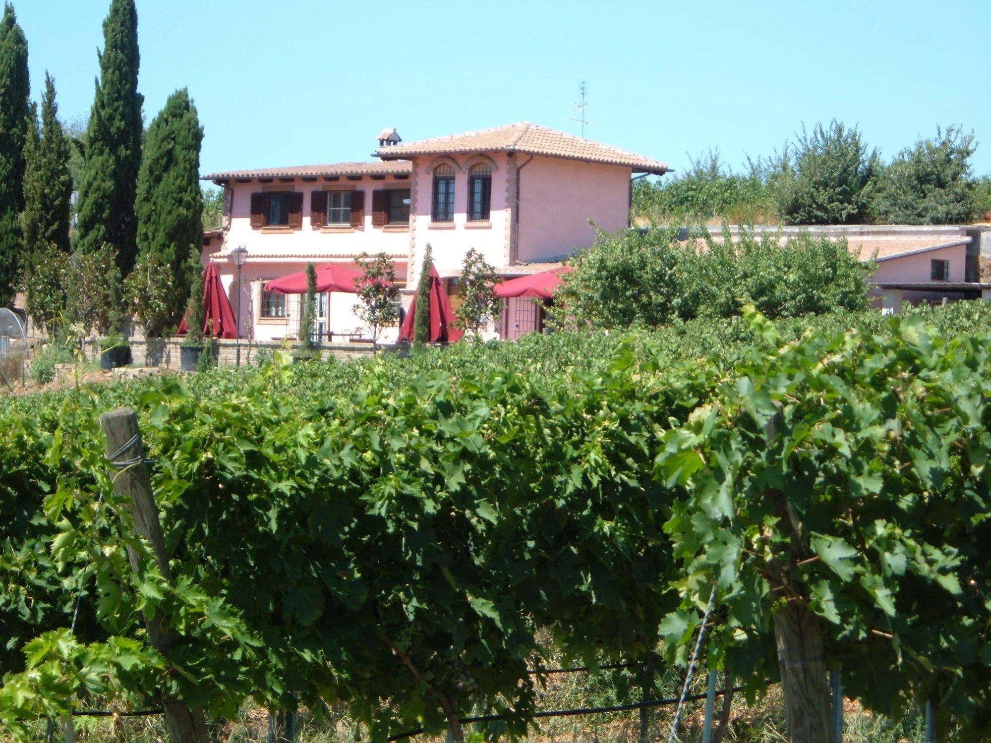 Azienda Agricola Sinisi Cerveteri Kültér fotó