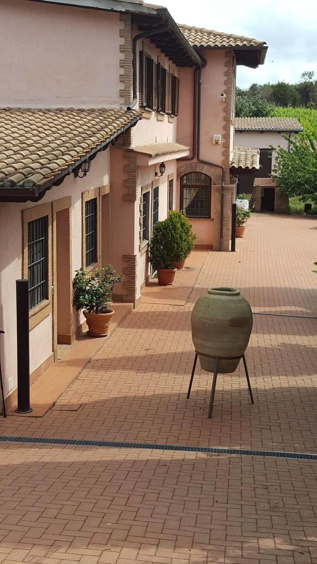 Azienda Agricola Sinisi Cerveteri Kültér fotó