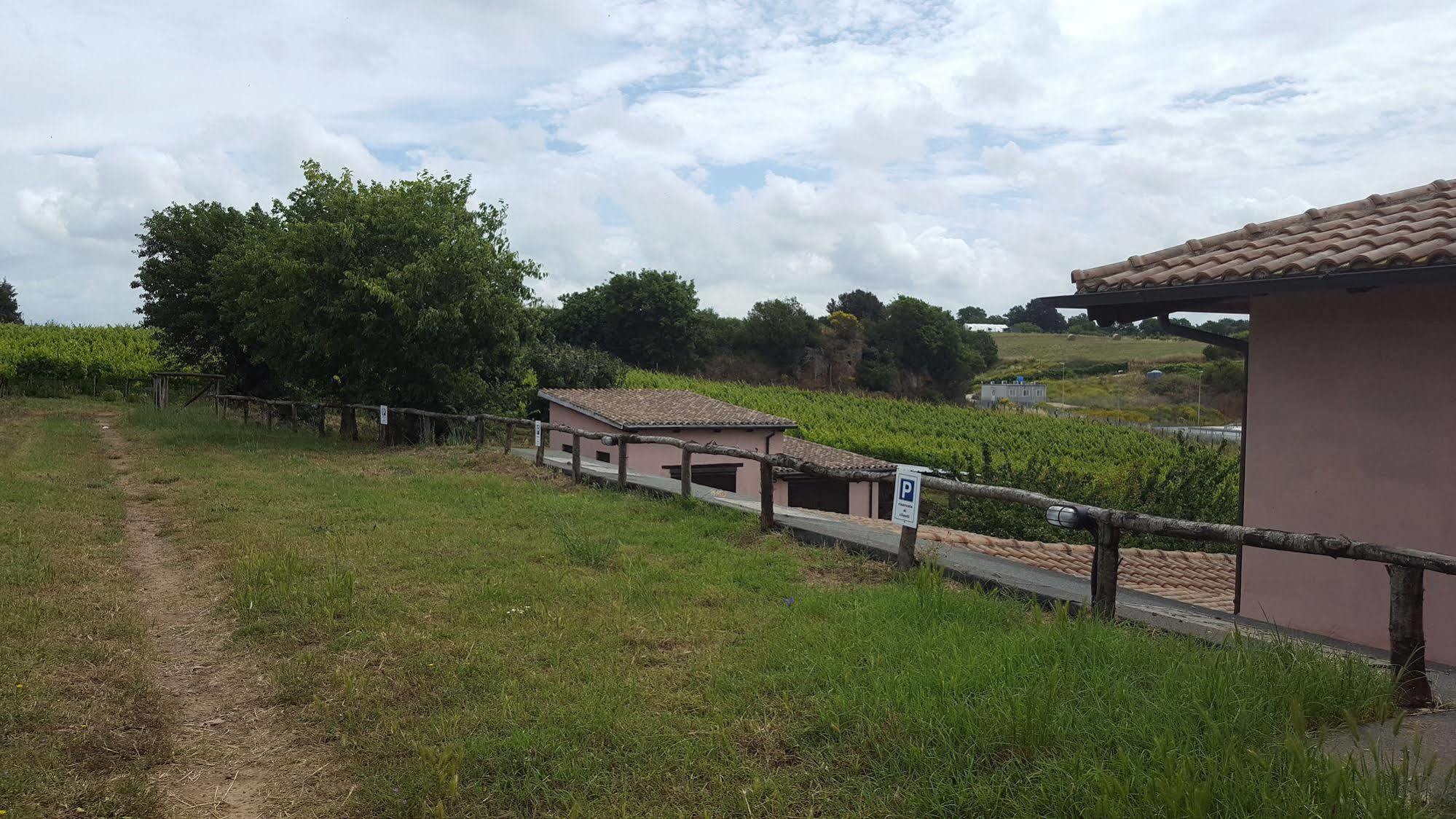 Azienda Agricola Sinisi Cerveteri Kültér fotó